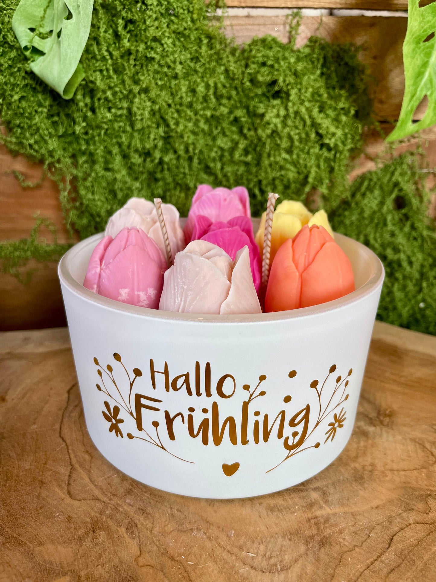 Hallo Frühling